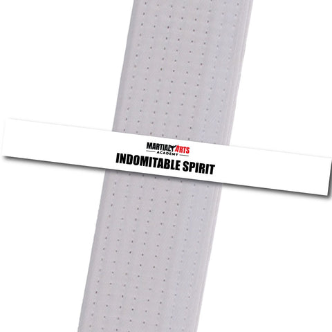 Martial Arts Academy - Indomitable Spirit